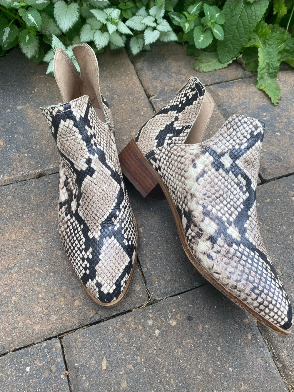 Aldo Snake Print Embossed Leather Ankle Booties Block Heel, 8 Summer Sale